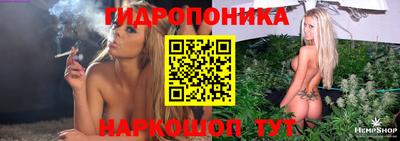 дурь Бийск